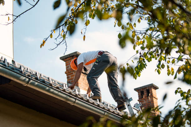 Best Storm Damage Roof Repair  in Hemlock Farms, PA