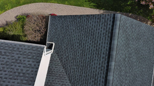 Best Roof Coating and Sealing  in Hemlock Farms, PA