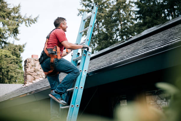 Best Roof Maintenance and Cleaning  in Hemlock Farms, PA